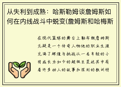 从失利到成熟：哈斯勒姆谈詹姆斯如何在内线战斗中蜕变(詹姆斯和哈梅斯)