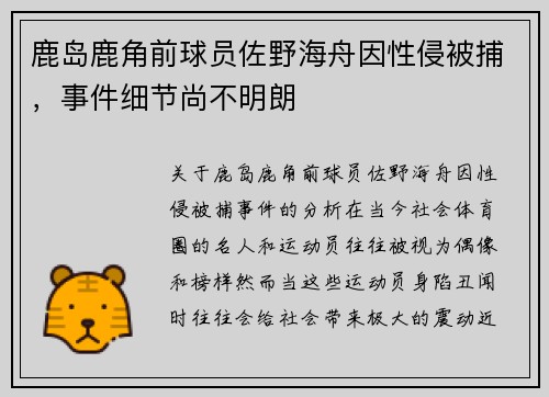 鹿岛鹿角前球员佐野海舟因性侵被捕，事件细节尚不明朗